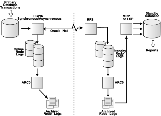 Text description of lgwrarch.gif follows.