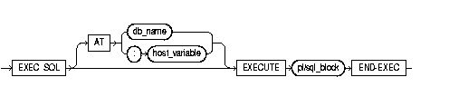 EXECUTE ... END-EXEC