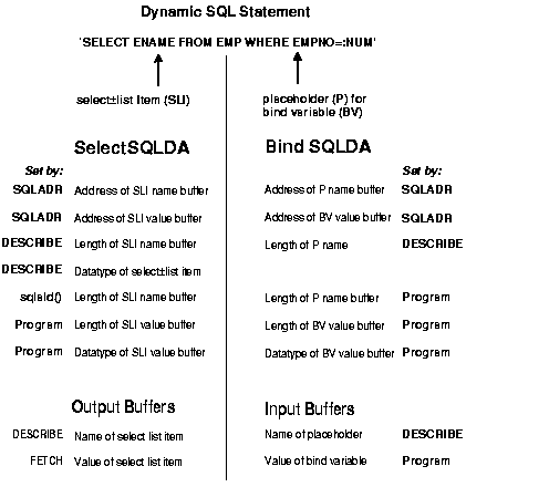 how variables are set