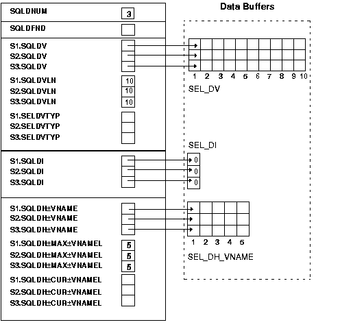 initialized select descriptor