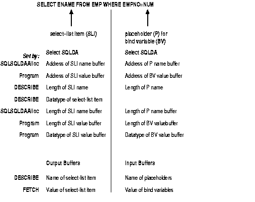 How Variables Are Set