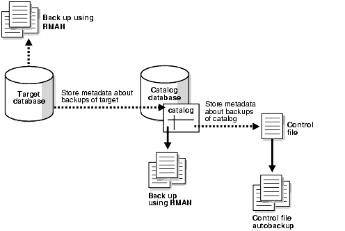 Description of Figure 10-1 follows