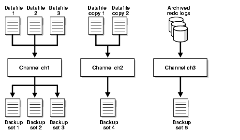 Description of Figure 2-3 follows