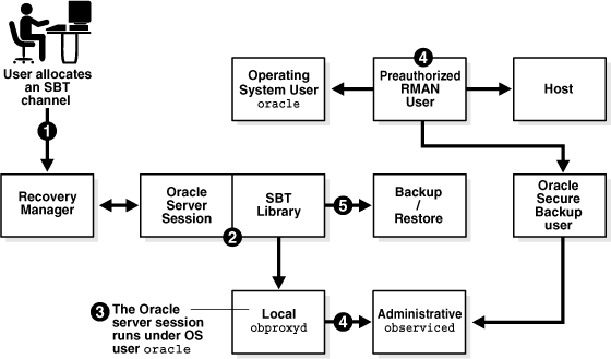 Shows the RMAN preauthorization work flow.