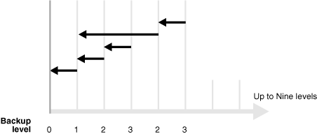 Shows that there are 9 levels of incremental backup.