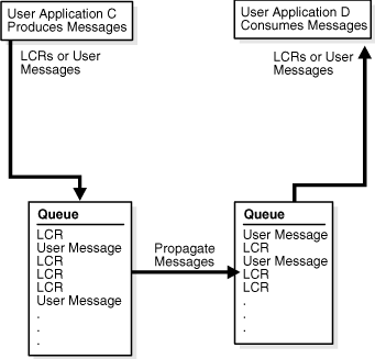 Description of Figure 1-5 follows