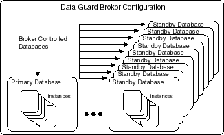 Description of Figure 1-1 follows