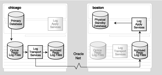 Description of Figure 12-1 follows