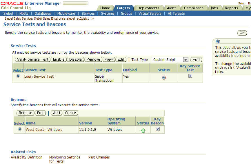 Shows sample data for Service Tests and Beacons page.