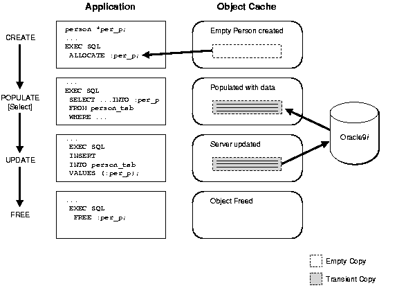 Accessing Objects Using SQL