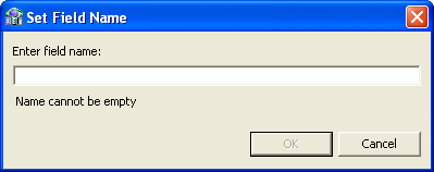 The Set Field Name screen.
