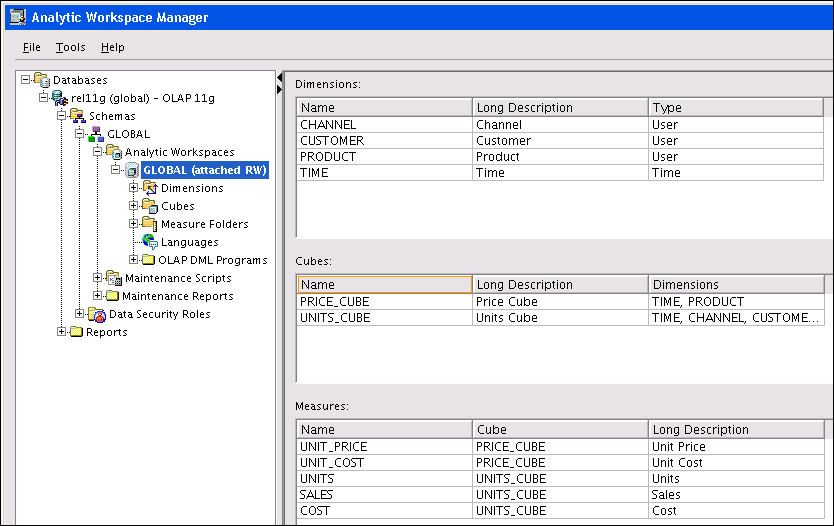 Main window in Analytic Workspace Manager