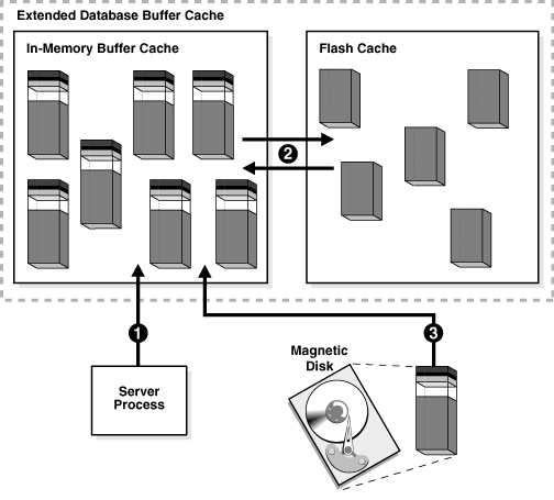 Description of Figure 14-6 follows