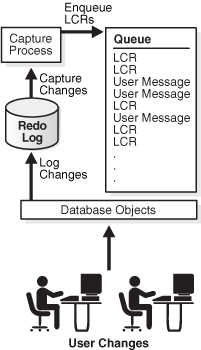 Description of Figure 1-1 follows