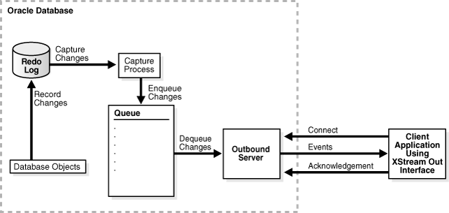 Description of Figure 1-2 follows