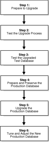 Description of Figure 1-1 follows