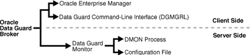 Description of Figure 1-1 follows