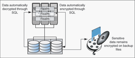 Description of Figure 10-1 follows