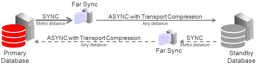 Description of Figure 12-1 follows