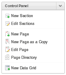 Description of websheet_control_panel.gif follows