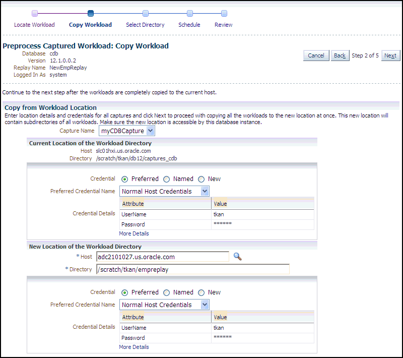 Description of the illustration dbr_process_copy_wkld.gif follows