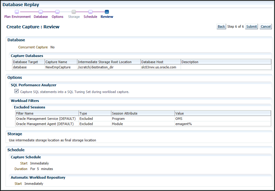 Description of the illustration dbr_capture_review.gif follows