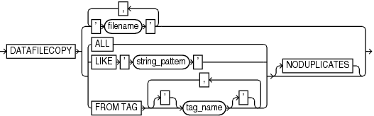 Description of datafilecopyspec.gif follows