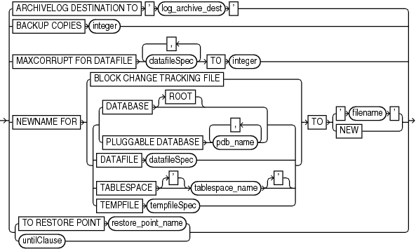 Description of setrunoption.gif follows