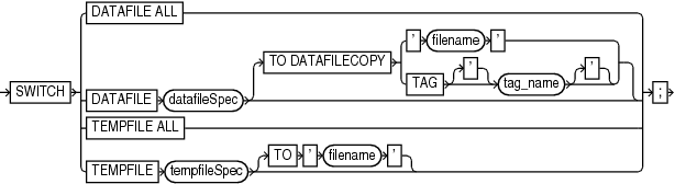 Description of switchfile.gif follows