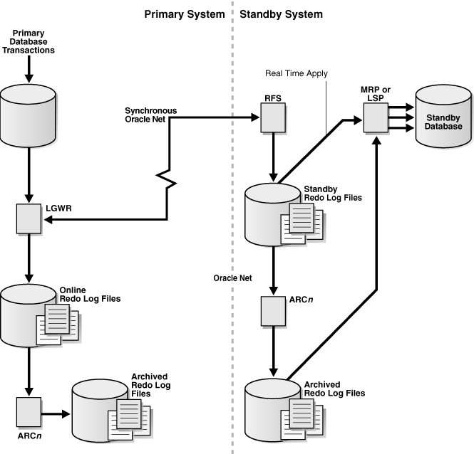 Description of Figure 8-1 follows