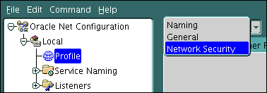 Description of the illustration netmgr_adv_sec.gif follows