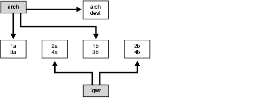 Description of Figure 17-1 follows