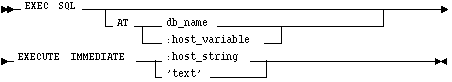 Syntax diagram: EXECUTE IMMEDIATE